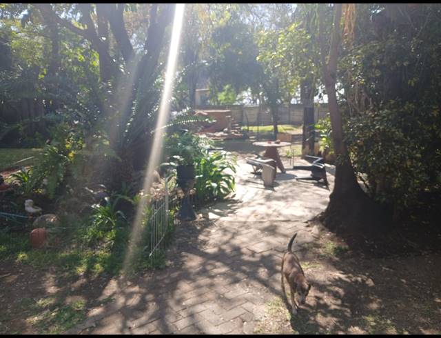2.30HA FARM FOR SALE IN WATERKLOOF AH